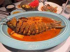 -阿五黄河大鲤鱼(英协路店)