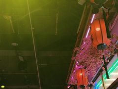 -喜鹊音乐酒馆(西街店)