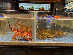 -青蓬蒸汽海鲜·深圳老字号·团建聚会(壹方城店)