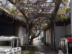 -东山风景区(洞庭东山)