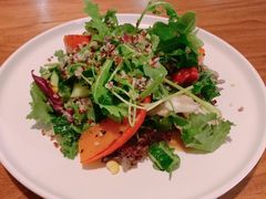 -百好乐宠物友好餐厅(朝外大街店)