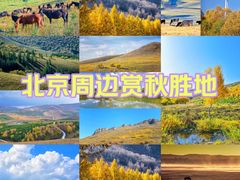 -百里天路