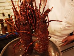 -活伊势龙虾料理 中纳言(千日前味乐馆店)