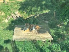 -大连森林动物园