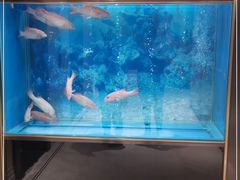 -御花园·粤菜·海鲜火锅(中山公园店)