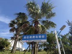 -南麂列岛