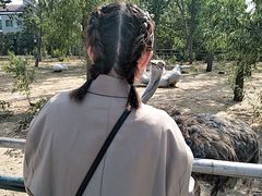 -大连森林动物园