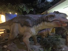 -中国地质大学逸夫博物馆