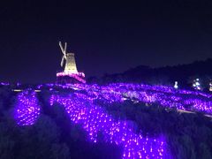 -大塘金香草谷