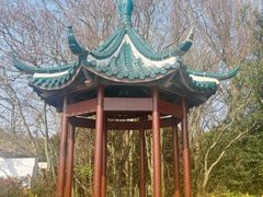 -瀛洲公园