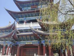-洱海月湿地公园