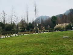 -花溪公园