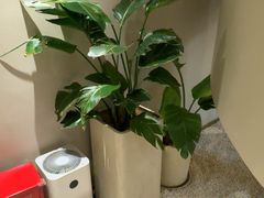 -泰合玺·精油疗愈 SPA(南京河西万达店)