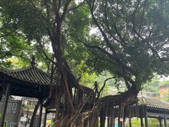 -荔湾湖公园