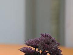 -JOHANDY COFFEE VOYAGE(水围1368文化街区店)