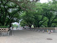 -名古屋城