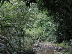 -龙坞茶村