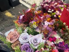 -溪岸路花鸟市场