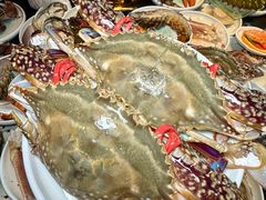 -雍容荟活龙虾自助餐(IFS黑金店)