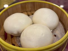 -一煲鸽
