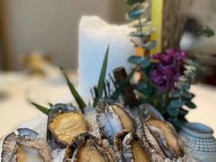 六头大连鲍鱼-鲐赏河豚(长寿店)