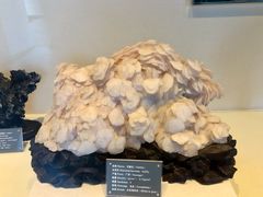 -房山世界地质公园博物馆