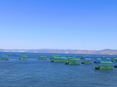 -抚仙湖禄充风景区