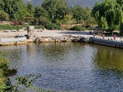 -北京西山国家森林公园