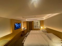 -广州白天鹅宾馆