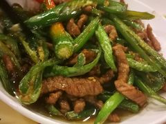 -曾牛肉