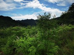 -灵溪风景区