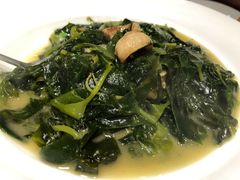 猪油炒海带苗-临家闽南菜(大唐店)