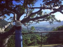 -三亚亚龙湾人间天堂鸟巢度假村