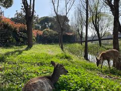 -养云安缦吧THE BAR