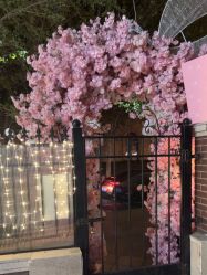 -米莱摄影写真(五大道别墅店)