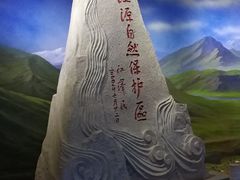 -青藏高原自然博物馆