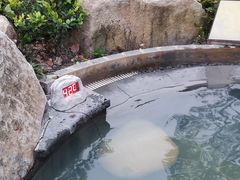 -溧阳天目湖天沐温泉