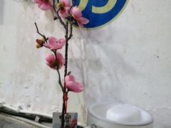 -天治宣·野椒鸡(龙头寺总店)