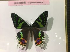 -蝴蝶泉公园