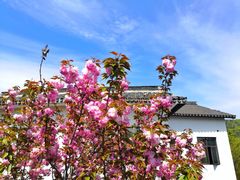 -石塘人家