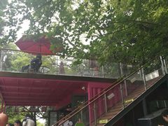 -鸡鸣汤包(红山动物园店)