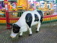 景点-沈阳南湖公园