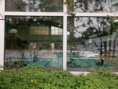 -沈坚强游泳俱乐部(长征分部)