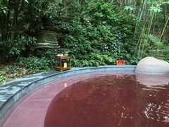 -天目湖御水温泉·度假酒店