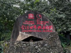 -海口火山口国家地质公园