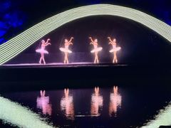 -印象西湖·最忆是杭州实景演出