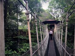 -新加坡飞禽公园