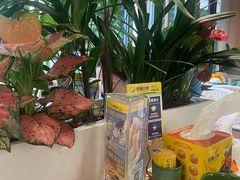-润园四季椰子鸡火锅(欢乐海岸店)