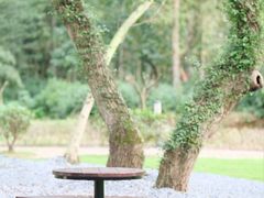 -长兴八都岕景区
