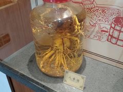 -九江双蒸博物馆